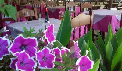Imagine pentru Molfetta Beach Hotel 3*  valabile pentru Litoral 2025