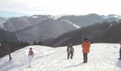 Imagine pentru Pensiune Norica 4* - Demipensiune + Masa Festiva Revelion valabile pentru Litoral 2025