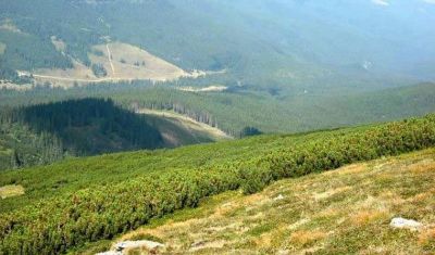 Imagine pentru Pensiune Norica 4* - Demipensiune + Masa Festiva Revelion valabile pentru Litoral 2025