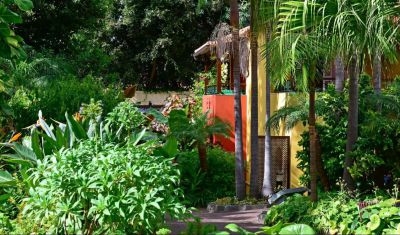 Imagine pentru Pestana Village Garden Resort 4* valabile pentru Litoral 2025
