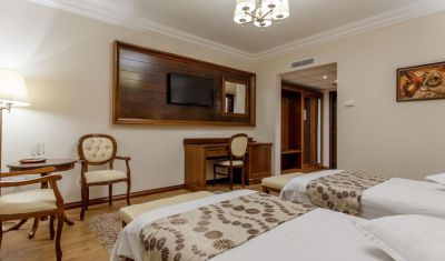 Imagine pentru Hotel Gabriela 3* valabile pentru Maramures 2024