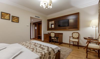 Imagine pentru Hotel Gabriela 3* valabile pentru Maramures 2024