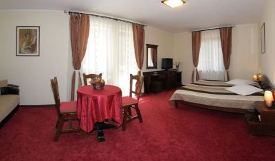 Imagine pentru Hotel Victoria 3* valabile pentru Maramures 2024