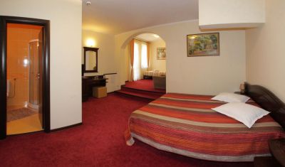 Imagine pentru Hotel Victoria 3* valabile pentru Maramures 2024