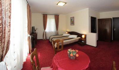 Imagine pentru Hotel Victoria 3* valabile pentru Maramures 2024