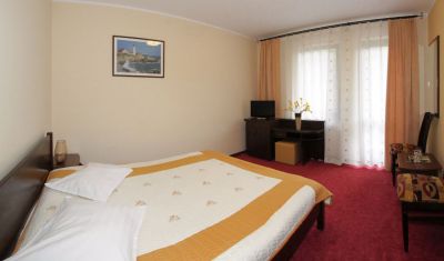 Imagine pentru Hotel Victoria 3* valabile pentru Maramures 2024