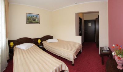 Imagine pentru Hotel Victoria 3* valabile pentru Maramures 2024