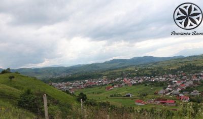 Imagine pentru Pensiunea Bocrita 3* valabile pentru Maramures 2024