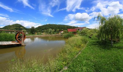 Imagine pentru Pensiunea Lacramioara 3* valabile pentru Maramures 2024