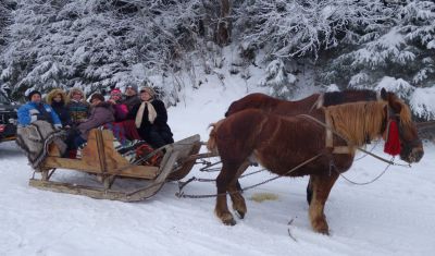 Imagine pentru Pensiunea Lacramioara 3* valabile pentru Maramures 2024