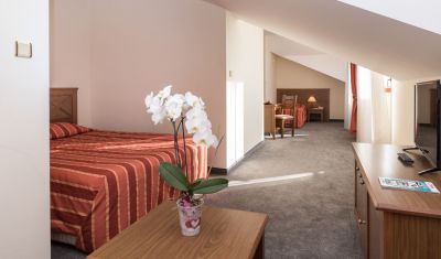 Imagine pentru Hotel Evelina Palace 4* valabile pentru Munte 2023