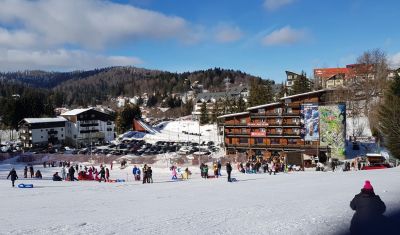 Imagine pentru Cabana Fulg de Nea 3* valabile pentru Munte 2025