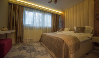 Imagine pentru Elexus Boutique Hotel 3* valabile pentru Munte 2025