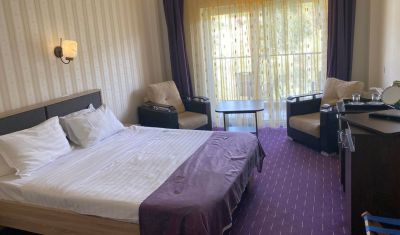 Imagine pentru Hotel Atrium Mountain View Predeal 4* valabile pentru Munte 2025