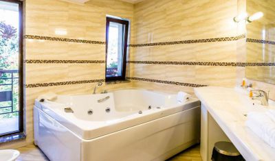 Imagine pentru Hotel Bistrita 4* valabile pentru Munte 2025