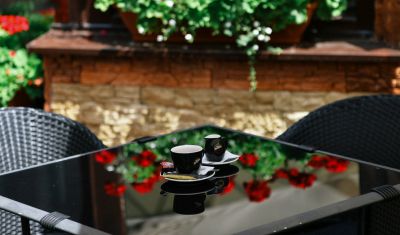 Imagine pentru Hotel Bistrita 4* valabile pentru Munte 2025