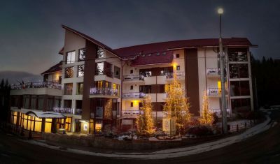 Imagine pentru Hotel Bistrita 4* valabile pentru Munte 2025