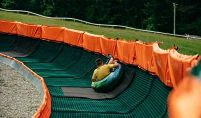 Imagine pentru Hotel Bistrita 4* valabile pentru Munte 2025