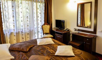 Imagine pentru Hotel Bistrita 4* valabile pentru Munte 2025
