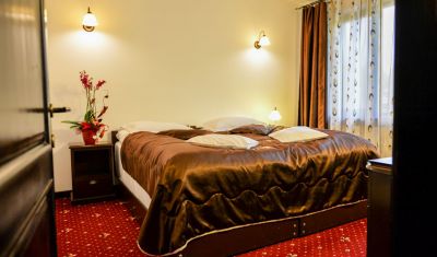 Imagine pentru Hotel Bistrita 4* valabile pentru Munte 2025