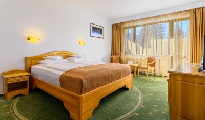 Imagine pentru Hotel Casa Viorel 3* valabile pentru Munte 2025