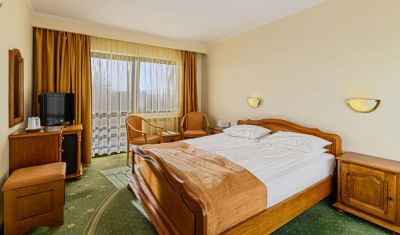 Imagine pentru Hotel Casa Viorel 3* valabile pentru Munte 2025