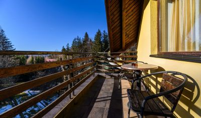 Imagine pentru Hotel Casa Viorel 3* valabile pentru Munte 2025