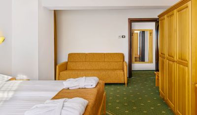 Imagine pentru Hotel Casa Viorel 3* valabile pentru Munte 2025