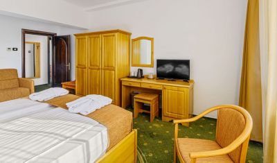 Imagine pentru Hotel Casa Viorel 3* valabile pentru Munte 2025
