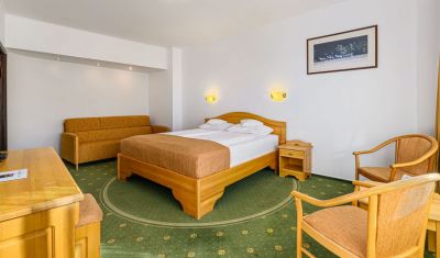 Imagine pentru Hotel Casa Viorel 3* valabile pentru Munte 2025