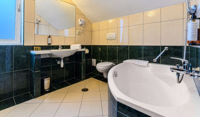 Imagine pentru Hotel Casa Viorel 3* valabile pentru Munte 2025