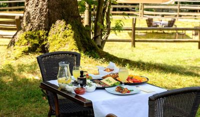 Imagine pentru Hotel Casa Viorel 3* valabile pentru Munte 2025