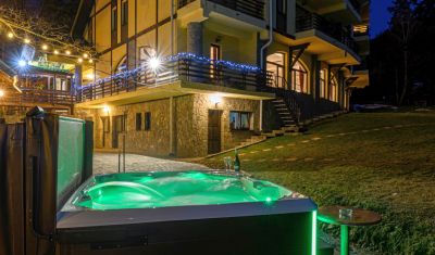 Imagine pentru Hotel Casa Viorel 3* valabile pentru Munte 2025