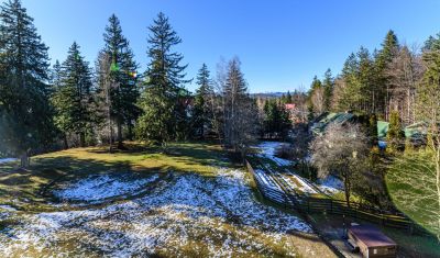 Imagine pentru Hotel Casa Viorel 3* valabile pentru Munte 2025