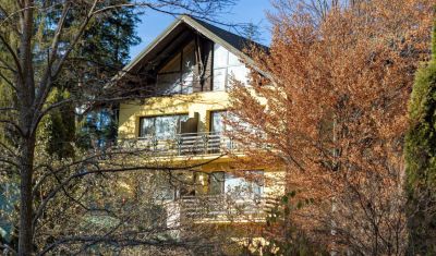 Imagine pentru Hotel Casa Viorel 3* valabile pentru Munte 2025