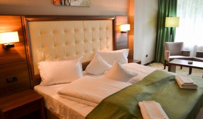 Imagine pentru Hotel Hart 4* valabile pentru Munte 2025