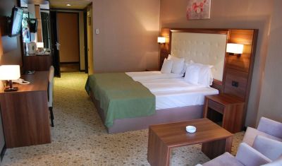 Imagine pentru Hotel Hart 4* valabile pentru Munte 2025