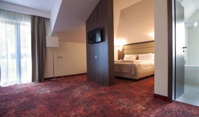 Imagine pentru Hotel Radsor 4* valabile pentru Munte 2025