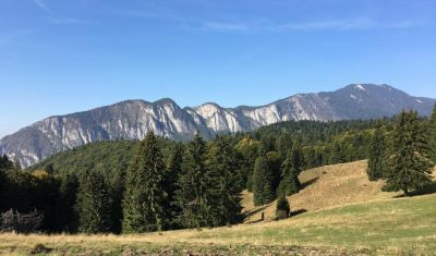 Imagine pentru Pensiunea Crescent 3* valabile pentru Munte 2025