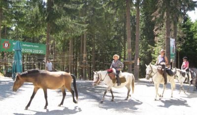 Imagine pentru Balu Resort 3* valabile pentru Munte 2026