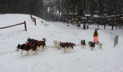 Imagine pentru Balu Resort 3* valabile pentru Munte 2026