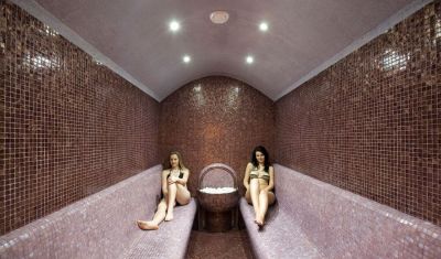 Imagine pentru Hotel Samokov 4* valabile pentru Munte Ski 2022/2023