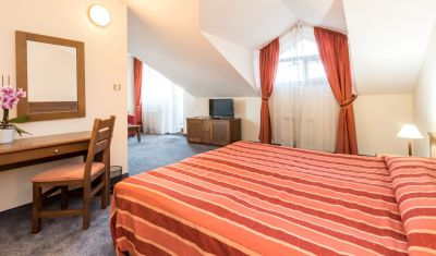 Imagine pentru Hotel Evelina Palace 4* valabile pentru Munte Ski 2023/2024