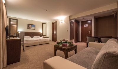 Imagine pentru Hotel Lion Borovets 4* valabile pentru Munte Ski 2023/2024