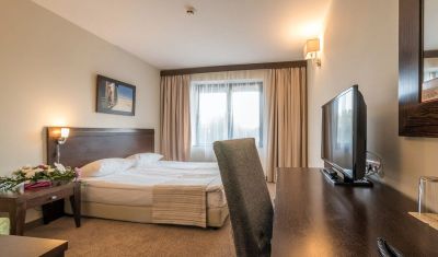 Imagine pentru Hotel Lion Borovets 4* valabile pentru Munte Ski 2023/2024