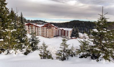 Imagine pentru Aparthotel Forest Nook 3* valabile pentru Munte Ski 2024/2025