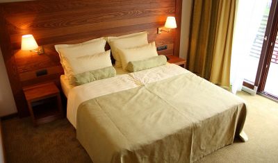 Imagine pentru Hotel Arena 4* - Demipensiune valabile pentru Munte Ski 2024/2025
