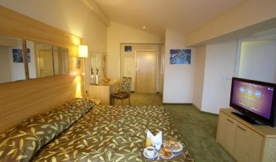 Imagine pentru Hotel Festa Chamkoria 4* valabile pentru Munte Ski 2024/2025