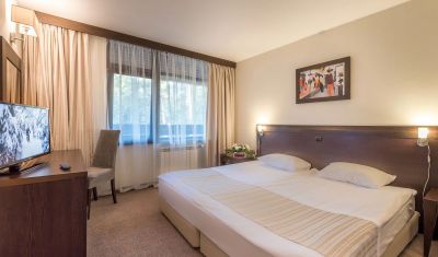 Imagine pentru Hotel Lion Borovets 4* valabile pentru Munte Ski 2024/2025