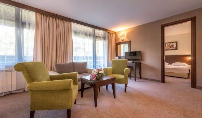 Imagine pentru Hotel Lion Borovets 4* valabile pentru Munte Ski 2024/2025